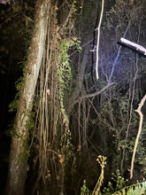 Load image into Gallery viewer, The Woods Ritual Cast add-On