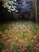 Load image into Gallery viewer, The Woods Ritual Cast add-On